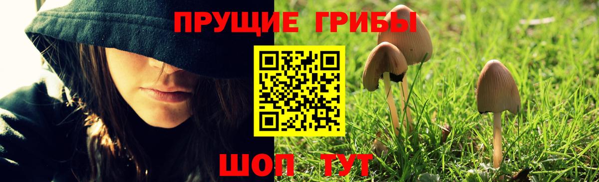 купить наркотики цена  Вход с VPN  Урай  Галлюциногенные грибы ЛСД 